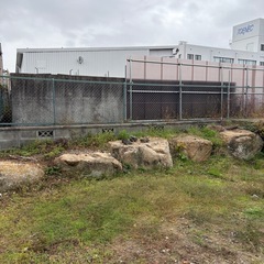 庭石　盆栽　つけ石の画像