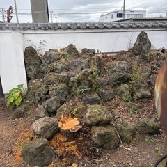 庭石　盆栽　つけ石の画像