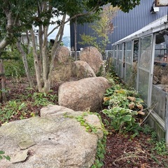 庭石　盆栽　つけ石の画像