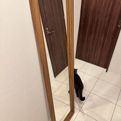 　IKEA NISSEDAL ウォールナット　ぜんしんきょう全身鏡の画像