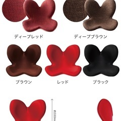 差し上げます　MTG  style ボディーメイクシートレッドの画像