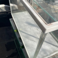 GEX５０センチ水槽ふたつき蓋付きの画像
