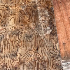 合板(中古)の画像