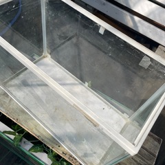 GEX４０センチ水槽の画像