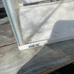 GEX４０センチ水槽の画像