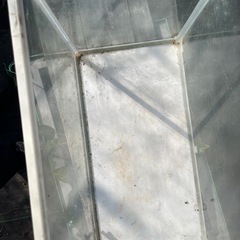 GEX４０センチ水槽の画像