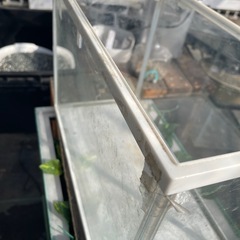 GEX４０センチ水槽の画像