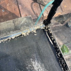 GEX６０センチ水槽の画像