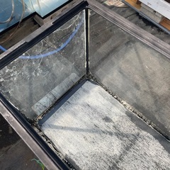 GEX６０センチ水槽の画像