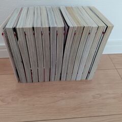 夢の雫、黄金の鳥籠　1〜13巻　篠原千絵の画像