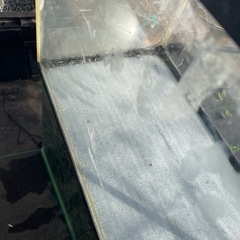 GEX６０センチ水槽の画像