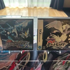 DSi本体2つ+ﾎﾟｹﾓﾝ4本の画像