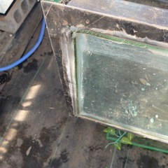 大型７５センチ水槽の画像