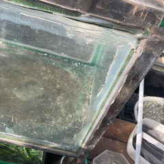 大型７５センチ水槽の画像