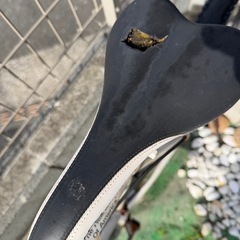 【取引先決定】シボレーの マウンテンバイクの画像