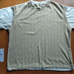 使用感あります大きいサイズの服の画像