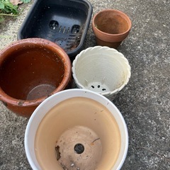 無料　植木鉢などまとめての画像