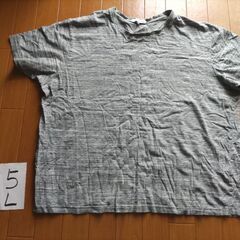 使用感あります大きいサイズの服の画像