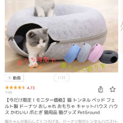 猫　ドーナツトンネルの画像