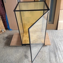 ガラスケース
の画像