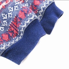 チャムス CHUMS パーカー フーディ プルオーバー ノルディック柄の画像