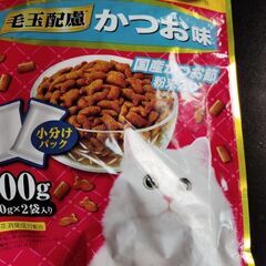 猫飼育セットの画像