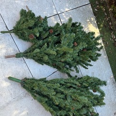 【国分寺市】クリスマスツリー　2メートル　の画像