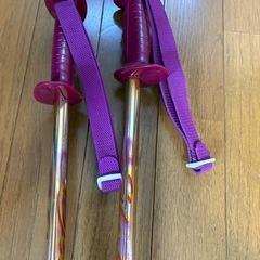 ストックの画像