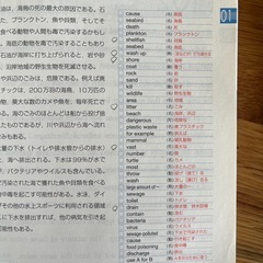 英語長文問題集　&　TOEIC 英文法の画像