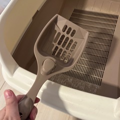 猫 システムトイレ本体の画像