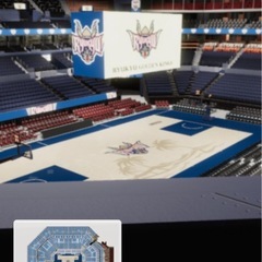 琉球ゴールデンキングスチケットの画像