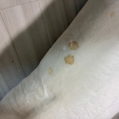 11/10に処分　ニトリ抱き枕　しろくまの画像