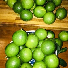 無農薬レモンの画像