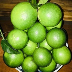 無農薬レモンの画像