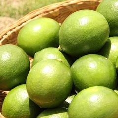 無農薬レモンの画像