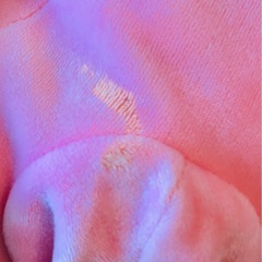 星のカービィ ぬぬいぐるみの画像