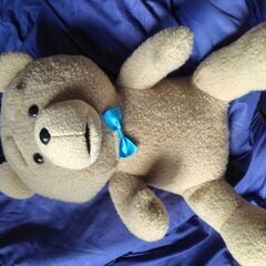 ぬいぐるみの画像