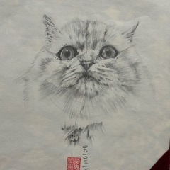 『鉛筆画の世界』鉛筆で描く生き物たちの画像