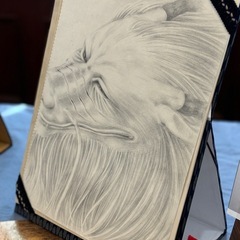 『鉛筆画の世界』鉛筆で描く生き物たちの画像