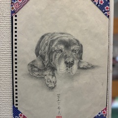 『鉛筆画の世界』鉛筆で描く生き物たちの画像