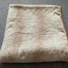 西川　NISHIKAWA 敷きパッド　ぽかぽか　オーロラ調敷きパッド　　シングル　S  ベージュ系の画像