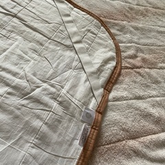 西川　NISHIKAWA 敷きパッド　ぽかぽか　オーロラ調敷きパッド　　シングル　S  ベージュ系の画像