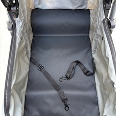 ペットカート　バギーの画像