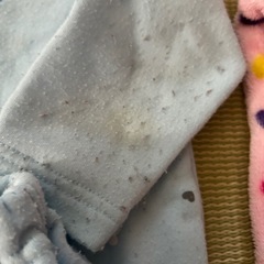 冬用パジャマ　100の画像