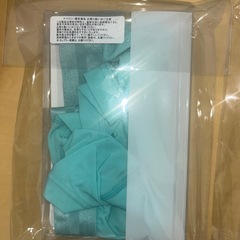 turquoise underwearの画像
