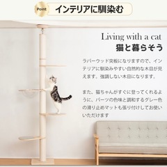 6段タイプ キャットタワー 突っ張り 木製 改良版 シニア スリム 爪とぎ 滑り止めマット付き クリアボウル 木登り シンプル キャットツリー 大型猫 中型 おしゃれ 省スベース 宇宙船 爪とぎ 多頭飼い 賃貸 安定 203~268cm 天然麻 コットン紐の画像