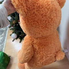 くまのぬいぐるみの画像