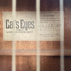 アコースティックギター　Cat'Eyes C E45T-SWの画像