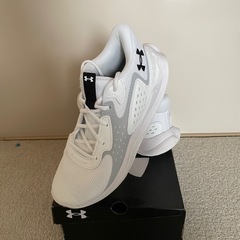 ランニングシューズの画像