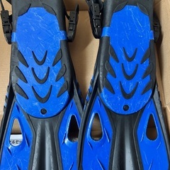 シュノーケル　フィンのみの画像